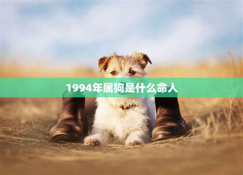 1994年属狗|1994年属狗的是什么命，94年出生的狗五行属什么